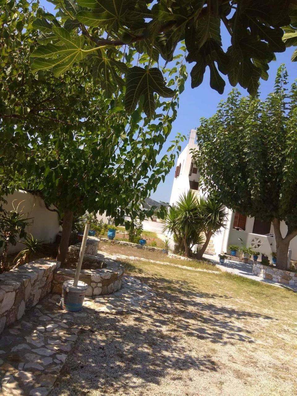 Athena'S Houses Σκύρος Εξωτερικό φωτογραφία