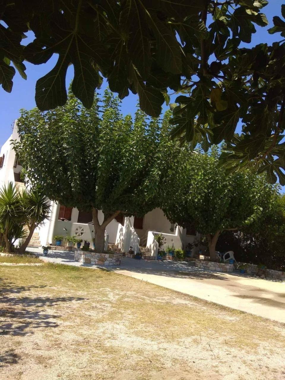 Athena'S Houses Σκύρος Εξωτερικό φωτογραφία